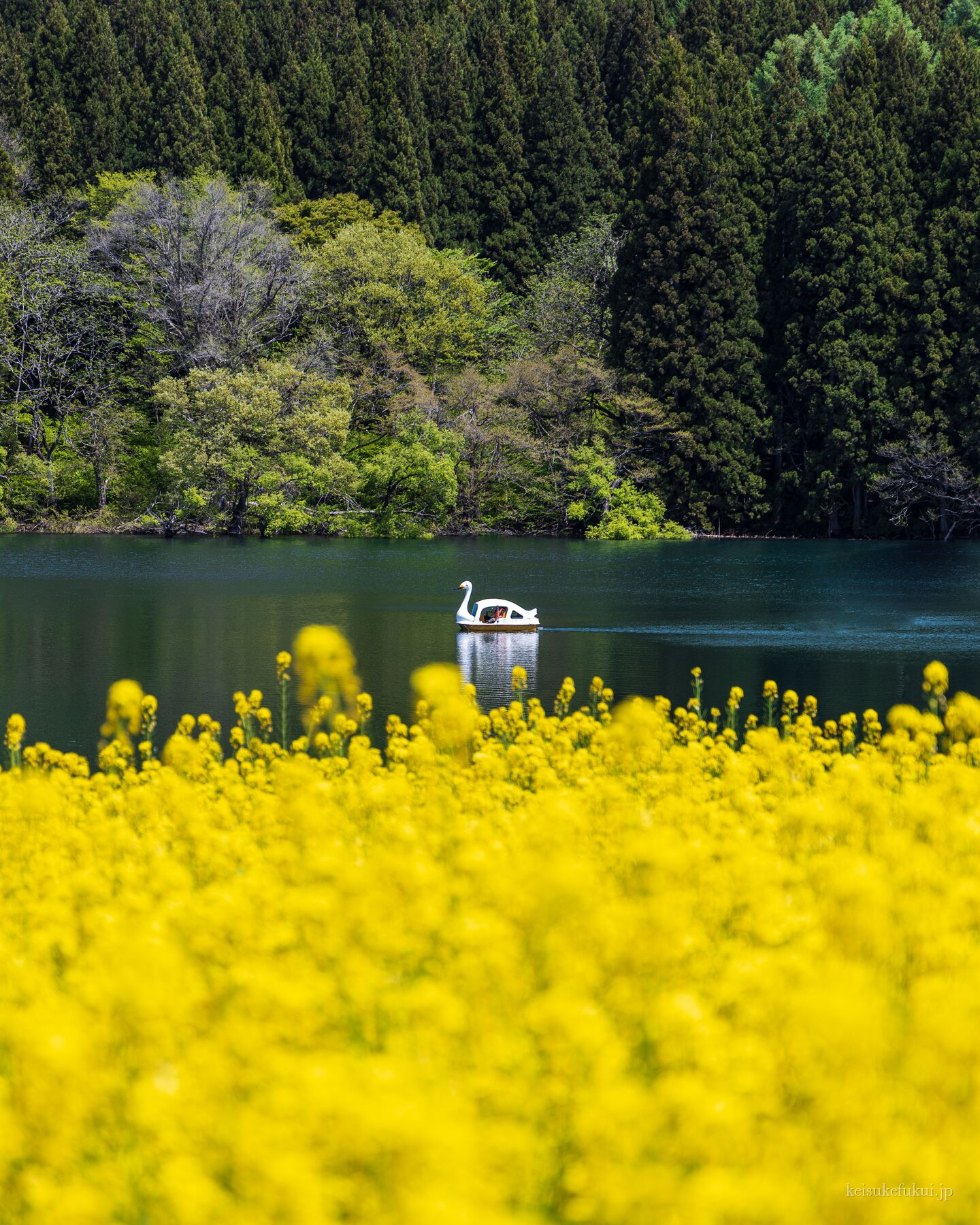 北竜湖, 長野で撮影した写真