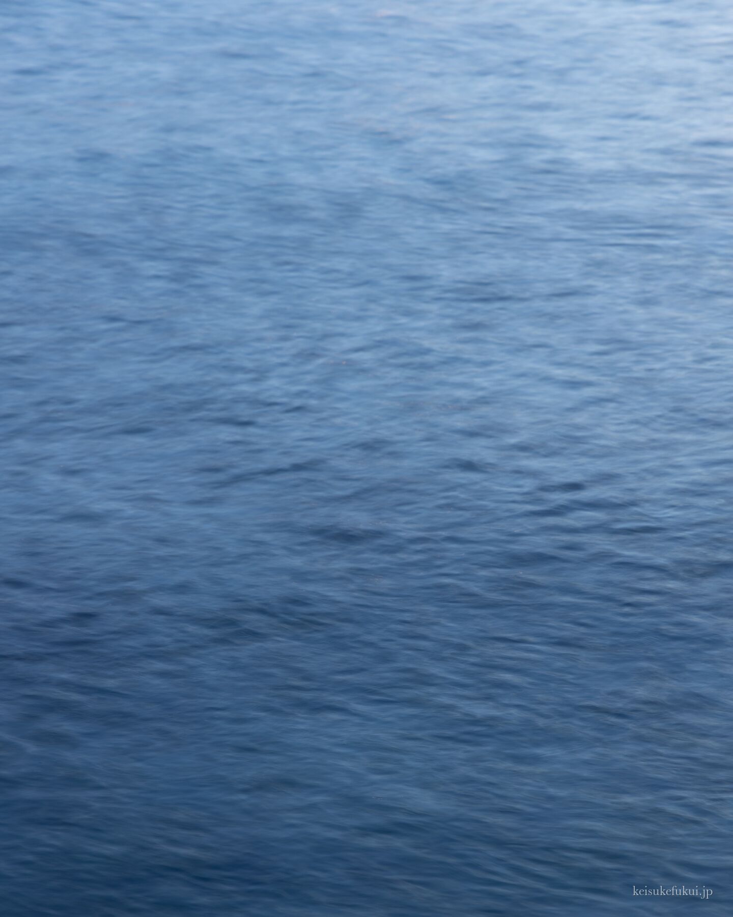 海